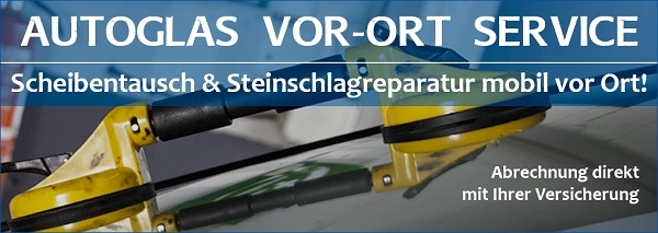 Windschutzscheibe austauschen Kosten Passau bei Reifen-Autoglas RIEDL Tel. +49 (0)8584 988721